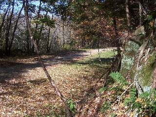 Blue and green moss covered rocks along the trail